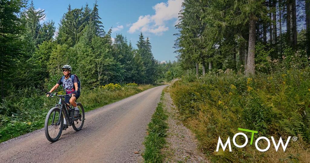 ebike trail in Michigan