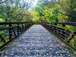 Oak Leaf Trail