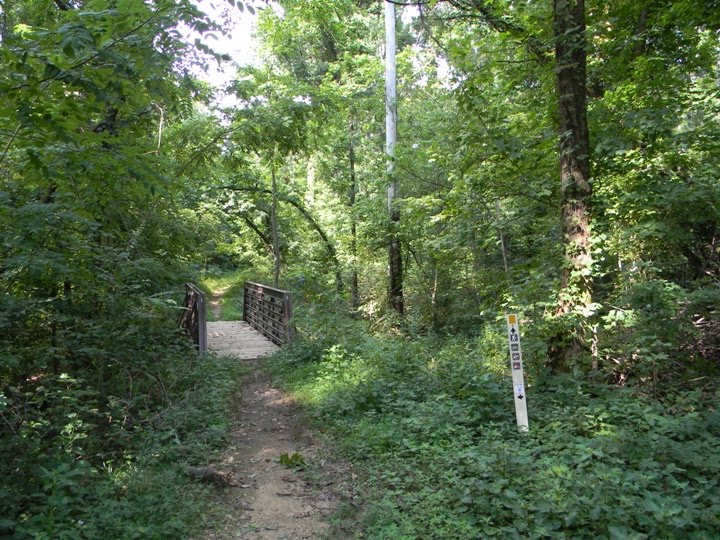Land Between the Lakes Canal Loop Trail