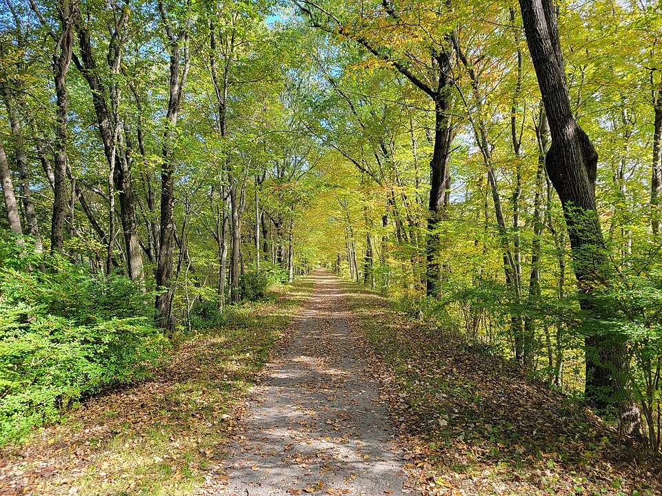 Larkin State Park Trail